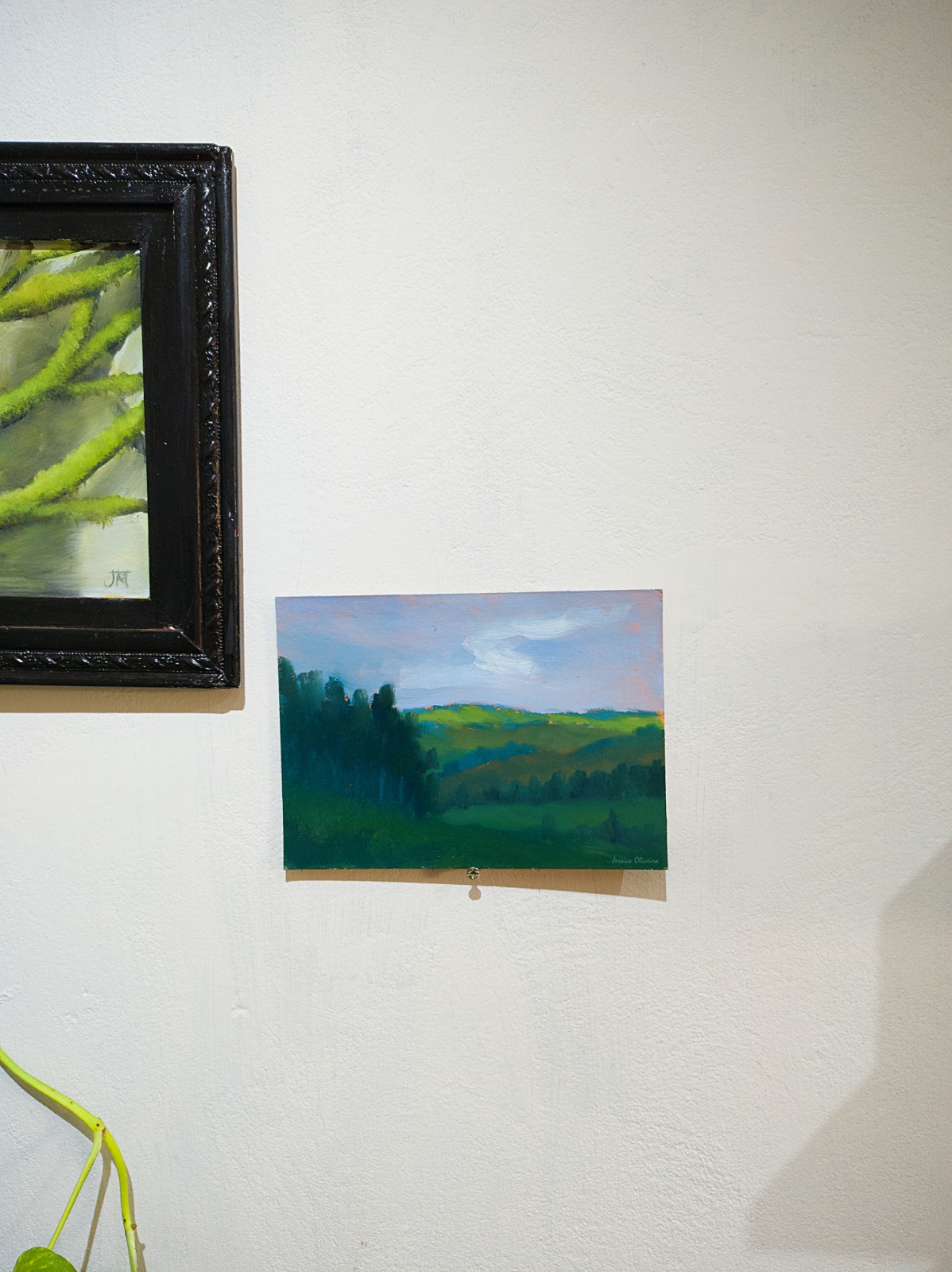 WhatsApp Image 2025-07-25 at 09.47.04.jpeg